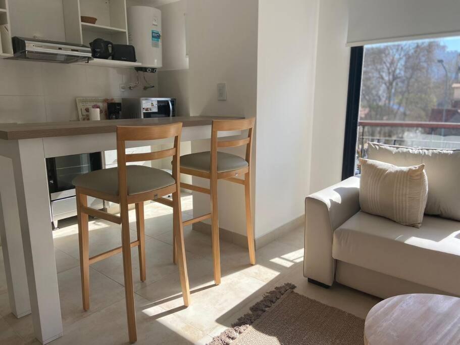 A Luminoso Y Practico Monoambiente En Apartment